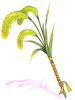 Enriched Foxtail Staff artwork