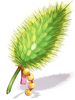 Fine Foxtail Replica artwork