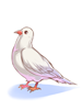 Costume Pigeon On Shoulder artwork