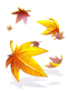 Costume Falling Maple leafs artwork