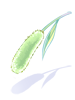 Costume Green Foxtail artwork