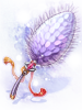 Royal Foxtail artwork