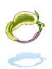Foxtail Charm artwork
