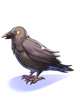 Costume Crow on Shoulder artwork