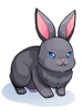 Costume Black Rabbit artwork