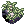 Dew_Laden_Moss