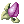 Fruit_Of_Mastela