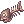 Rotten_Fish
